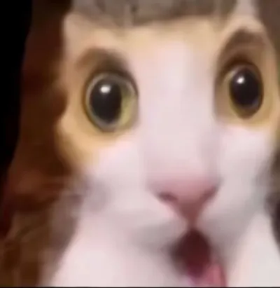 我的第一篇文章